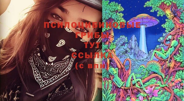apvp Алексеевка