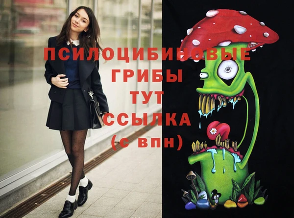 синтетический гашиш Алексин