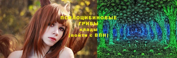 mdpv Кодинск