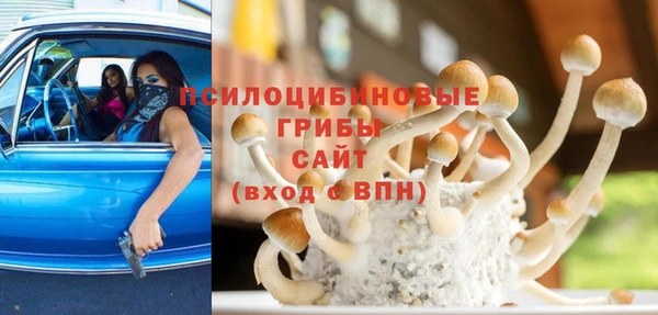 экстази Козельск